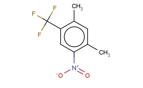 2,4-二甲基-5-硝基三氟甲苯
