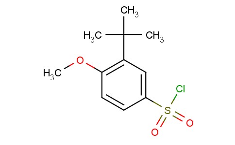 3-叔丁基-4-甲氧基-苯磺酰基氯