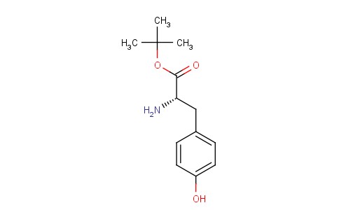 L-Tyrosine tert-butyl ester 