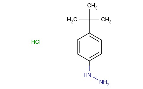 1-[4-(Tert-Butyl)phenyl]hydrazine hydrochloride