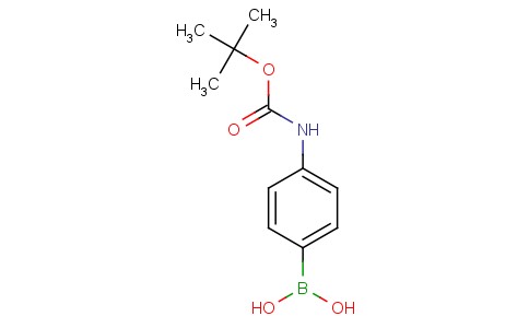 4-(N-Boc-amino)phenylboronic acid  