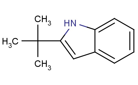 2-Tert butyl-1H-indole 