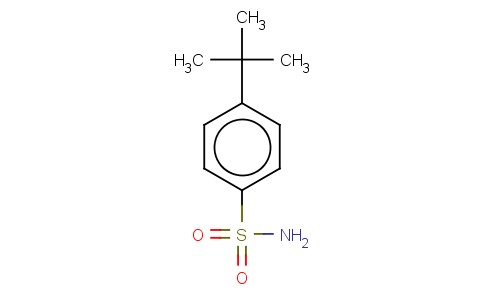 4-Tert-butyl benzene sulfonamide 