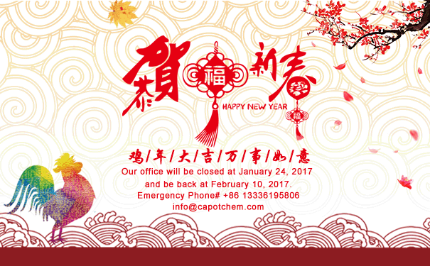 The notice during the 2017 Spring Festival