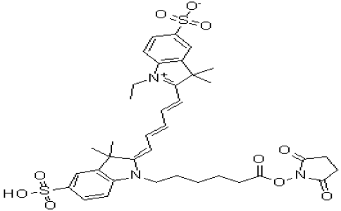 Fluorolink Cy5