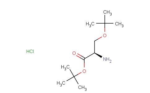 O-(叔丁基)-D-丝氨酸叔丁酯盐酸盐