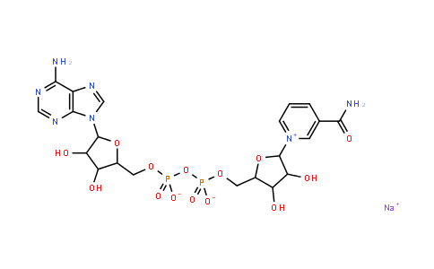 Beta-Nicotinamide Adenine Dinucleotide Sodium Salt