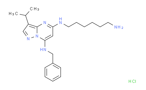 N5-(6-氨基己基)-N7-苄基-3-异丙基吡唑并[1,5-a]嘧啶-5,7-二胺盐酸盐