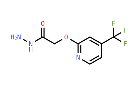 2-（4-（三氟甲基）吡啶-2-基）氧基）乙酰肼