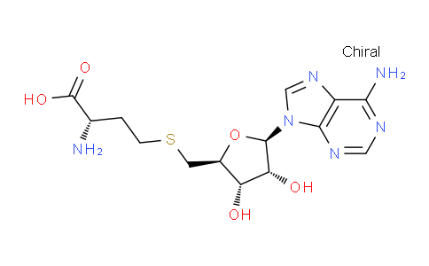 S-腺苷同型半胱氨酸