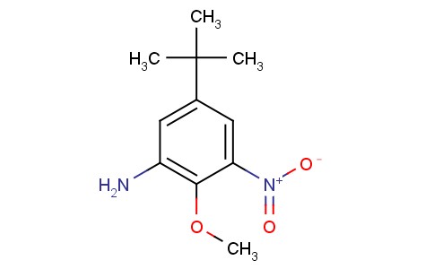 5-Tert-butyl-2-methoxy-3-nitroaniline