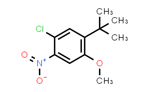 1-tert-Butyl-5-chloro-2-methoxy-4-nitrobenzene