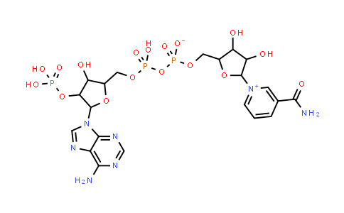 Nicotinamide-adenine dinucleotide, reduced, disodium salt (NADH)