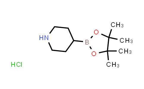 Piperidine-4-boronic acid pinacol ester hydrochloride