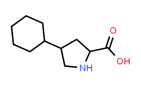 4-Cyclohexyl-pyrrolidine-2-carboxylic acid