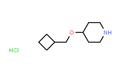 4-Cyclobutylmethoxy-piperidine hydrochloride