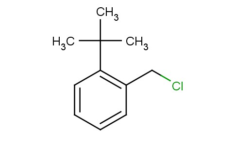 1-(氯甲基)-2-叔丁基苯