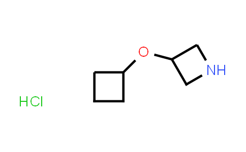 3-Cyclobutoxy-azetidine hydrochloride