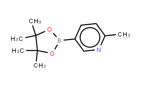 2-甲基吡啶-5-硼酸频那醇酯