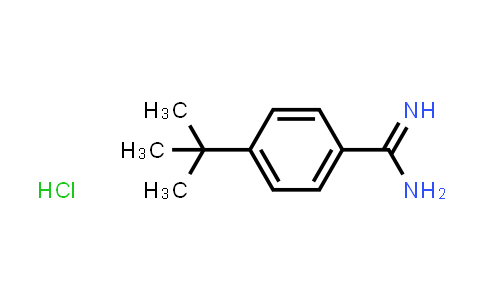 4-Tert-butyl-benzamidine hydrochloride