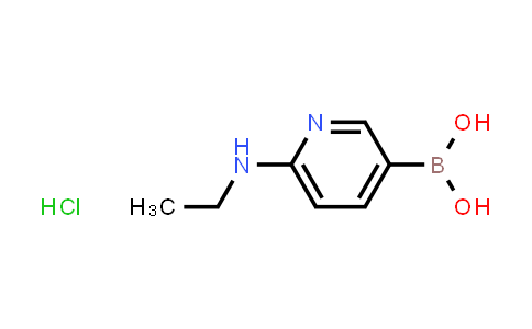 6-(Ethylamino)pyridine-3-boronic acid hydrochloride