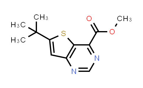 methyl 6-tert-butylthieno[3,2-d]pyrimidine-4-carboxylate