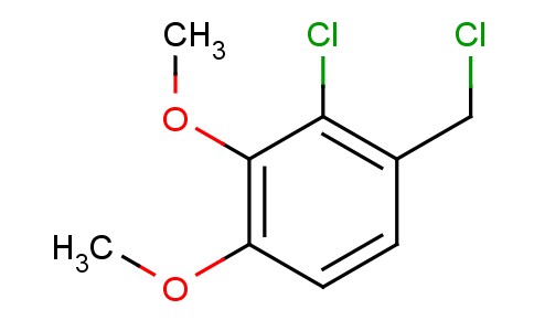2-氯-1-(氯甲基)-3,4-二甲氧基苯
